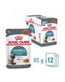 12x85g ROYAL CANIN Hairball Care in Soße für Reduzierung von Haarballen adult