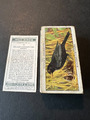 John Player Zigarettenkarten Komplettset - Pfadfinder & Mädchen Guide 1933... Kostenlos UK P&P