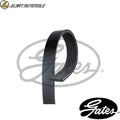 KEILRIPPENRIEMEN 6PK1590 FÜR AUDI Q5/Van A4/B8/Allroad/B6/Convertible/B7/B5 2.0L