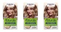 3x Palette naturals Permanente Haarfarbe 9-1 Kühles Beige-Blond EA744439