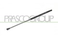PRASCO Gasfeder Kofferraum Heckklappendämpfer Hinten beidseitig FT1229055