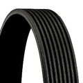 CONTINENTAL CTAM 8PK1515 Keilrippenriemen