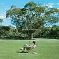 The Theory Of Whatever (Deluxe CD) von Jamie T | CD | Zustand neu