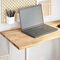 Schreibtischplatte Unbehandelt 100x60x2,5 cm Massivholz Eiche vidaXL