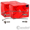2X TRW BREMSSCHLÄUCHE VORNE BEIDSEITIG PASSEND FÜR VW BEETLE GOLF JETTA