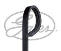 GATES (3PK675) Keilriemen, Keilrippenriemen für FIAT FORD LANCIA HYUNDAI KIA