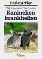 Kaninchenkrankheiten von Winkelmann, Johannes, La... | Buch | Zustand akzeptabel