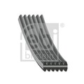 Febi Bilstein 34459 Keilrippenriemen Rippenriemen für VW Seat 1995 - 2015