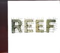 Reef / Sweety - One Track Promo - NEUWERTIG