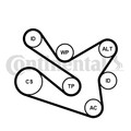 CONTINENTAL CTAM Keilrippenriemensatz 7PK1570K1 für CC RENAULT DUSTER QASHQAI 4