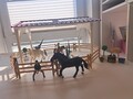 Schleich Reitschule mit Reiterinnen und Pferden (42389) No.34