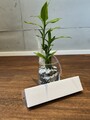 Apple Pencil (2. Generation)  neu in OVP, ungeöffnet