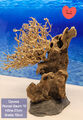 Nano Aquarium Opuwa Wurzel XL Bonsai Baum auf Schieferplatte