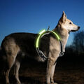 LED Hundegeschirr Atmungsaktiv Brustgeschirr LED-Beleuchtungsmodi Verstellbar