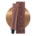 Schwarzkopf Igora Color10 8-65 Schokoladengold Hellblond  60ml