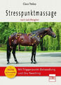 Stresspunktmassage nach Jack Meagher|Claus Teslau|Broschiertes Buch|Deutsch