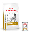 Royal Canin Urinary S/O Sparpaket: 13 kg Trockenfutter + 2x12x410 g Nassfutter f