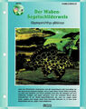 Der Waben-Segelschilderwels Glyptoperichthys gibbiceps / Aquariuminfokarte