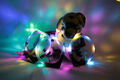 Leuchthalsband LEUCHTIE Plus für Hunde bicolor/zweifarbig LED Halsband