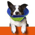 Comfy Soft Pet Elizabethan Collar Dog Cat Protective Cone After