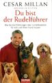 Cesar Millan-Du bist der Rudelführer;Top Tips des erfolgreichsten Hundetrainers!