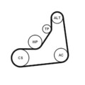 CONTINENTAL CTAM Keilrippenriemen Spannrolle Umlenkrolle 6PK1153K5
