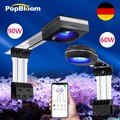 PopBloom RL60 RL90 WiFi reef aquarium beleuchtung led Vollspektrum meerwasser