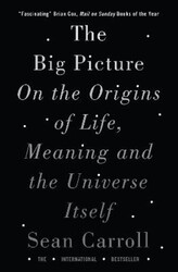 The Big Picture: On the Origins of Life, Meaning, and the Universe Itself NEU