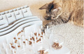 TRIXIE Cat Activity Fun Board Strategiespiel - Hellgrau, 30x40cm (4590)