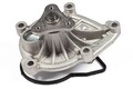 HEPU P495 Wasserpumpe, Motorkühlung für BMW,CITROËN,DS,DS (CAPSA),MINI,PEUGEOT (