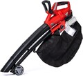 Laubsauger/Laubbläser Akku-Laubbläser GE-CL 36 Li E-Solo 36Volt 2x18V