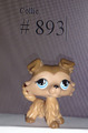LPS Littlest Pet Shop Hund Collie #893 Figur Hasbro