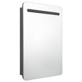 LED Bad Spiegelschrank Grau 60x11x80 Cm Badezimmer LED-Beleuchtung Spiege B-Ware