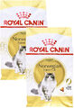 (€ 8,50/kg) Royal Canin Norwegische Waldkatze, Katzenfutter, 2 x 10 kg
