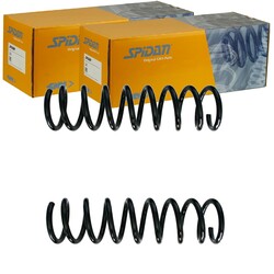 2X SPIDAN FAHRWERKSFEDERN SATZ HINTEN PASSEND FÜR FORD KUGA LINKS+RECHTS | 87653