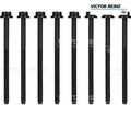 Zylinderkopfschraubensatz VICTOR REINZ 14-32120-02 für Skoda