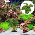  2 Pcs Künstliche Wasserpflanzen Aquarium -Fischtankdekoration Gefälschte
