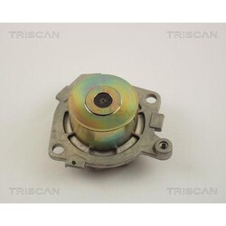 1x Wasserpumpe, Motorkühlung TRISCAN 8600 15120 passend für FIAT LANCIA