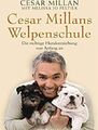 Cesar Millans Welpenschule von Cesar Millan