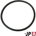 JP GROUP Dichtung Thermostat 1114650700 für VW Golf IV Schrägheck (1J1) 3,5mm