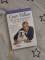 Cesar Millan - Die Glücksformel für den Hund: 98 Tipps vom Hundeflüster