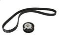 Zahnriemensatz INA 530 0174 10 für VW POLO (6N2) 1.7 1999-2001