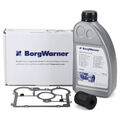 BORGWARNER Ölfilter für Haldexkupplung + 850ml Getriebeöl für OPEL INSIGNIA A B