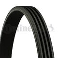 Keilrippenriemen Continental CTAM 4PK780 für BMW DAIHATSU HONDA HYUNDAI KIA