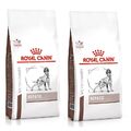 Royal Canin Veterinary Diet Canine Hepatic HF 16 Hund 2x 1,5 kg