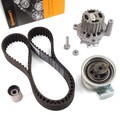 CONTITECH Zahnriemensatz Wasserpumpe für AUDI A3 SEAT VW Golf 4 Passat 1.9 TDI
