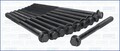 10x AJUSA 81021100 Zylinderkopfschraubensatz für CHEVROLET KALOS M10