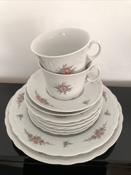 Seltmann Weiden Bavaria, Vintage original 8 plates, 2 cups and 2 saucers