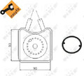 Motorölkühler wassergekühlt 31305 NRF für AUDI FORD SEAT SKODA VW VOLVO LADA BMW