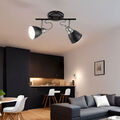 Wohnzimmerlampe Deckenlampe Deckenleuchte nickel-matt 2 Flammig Spots beweglich